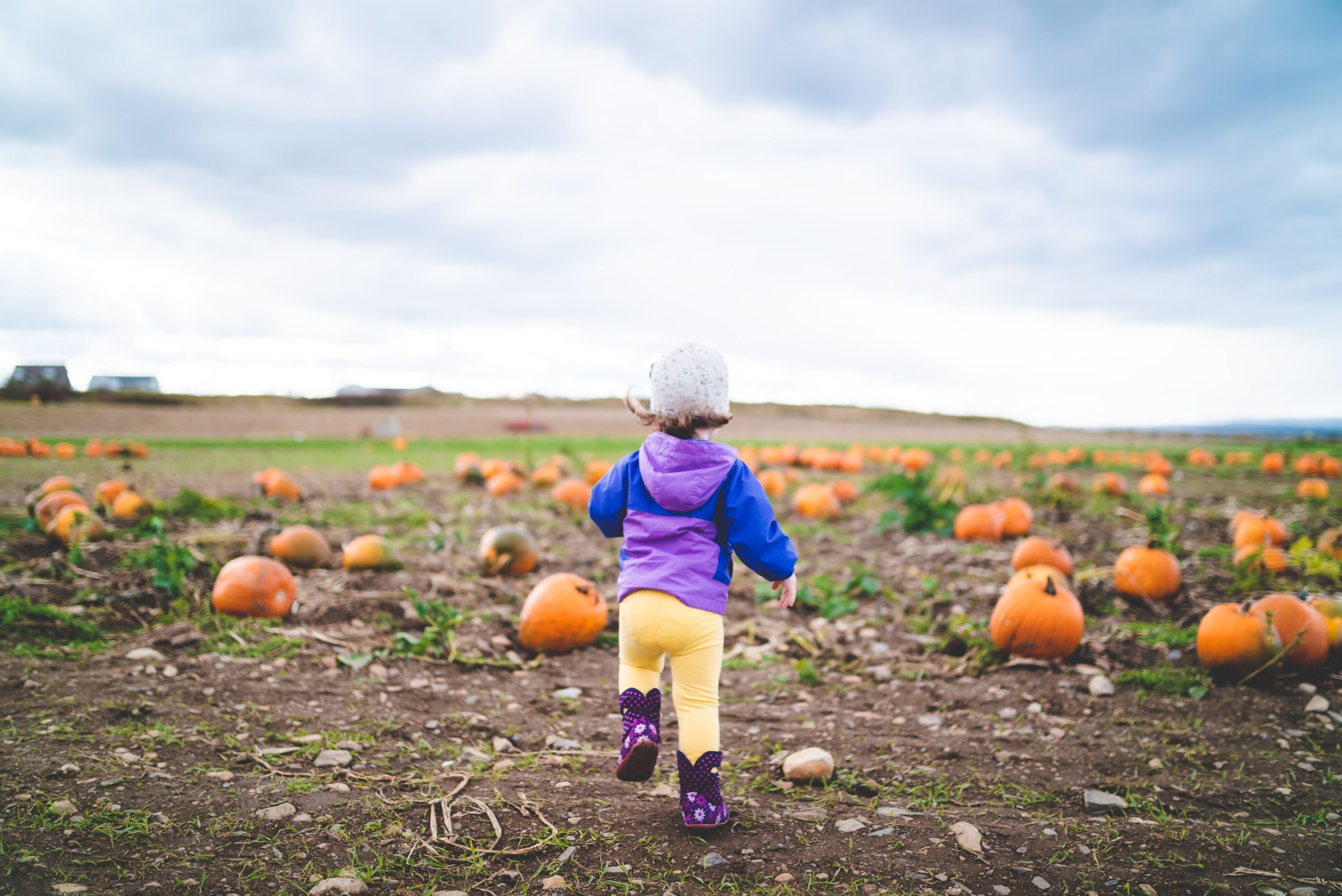 9 Fall Activities to do With a Baby